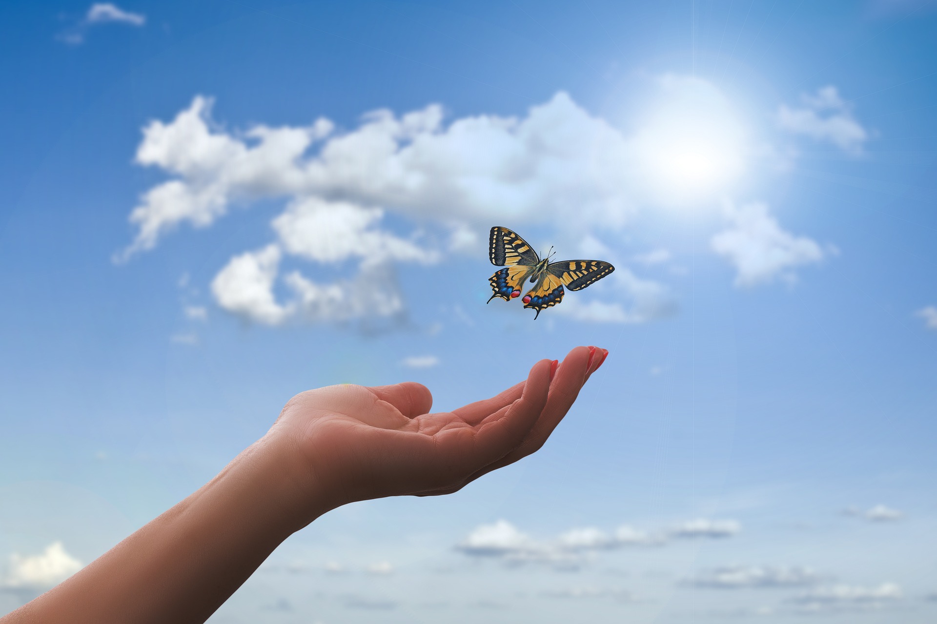 Aus einer Hand steigt ein bunter Schmetterling in den blauen Himmel, der Sonne entgegen.